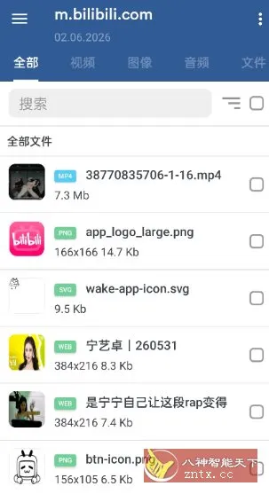 GetThemAll全能下载器3.6.5